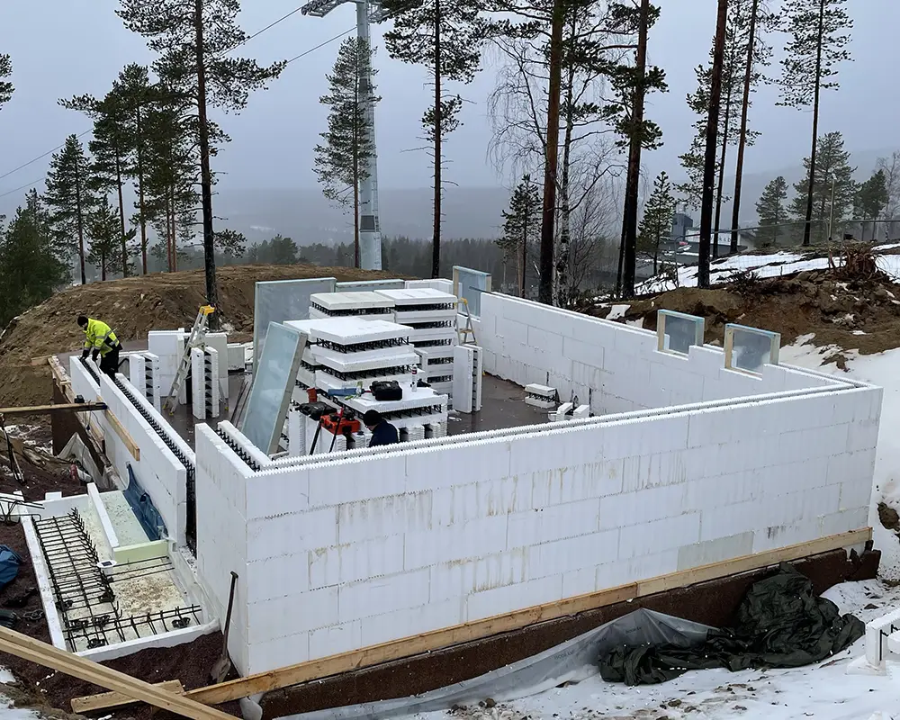 Källarvån kopiera